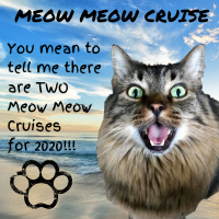 MEOW MEOW CRUISE (1).png