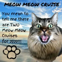MEOW MEOW CRUISE (1).webp