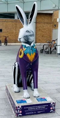 IMG-1003.webp IMG-1003.webp