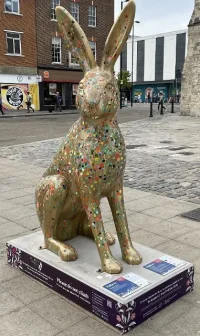 IMG-1005.webp IMG-1005.webp