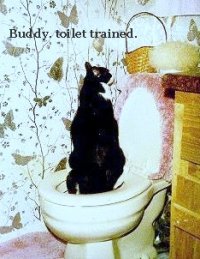 Buddy on the toilet.jpg