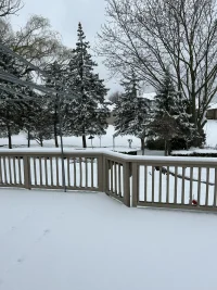 593A8FA9-5C05-455A-824F-7D8E74915CF2.webp 593A8FA9-5C05-455A-824F-7D8E74915CF2.webp