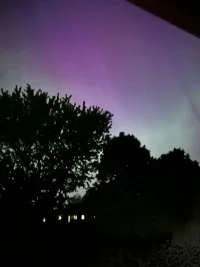 IMG_0540.jpeg IMG_0540.jpeg