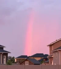 IMG_7149.webp IMG_7149.webp