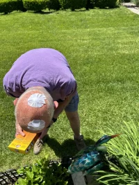 IMG_0721.jpeg IMG_0721.jpeg