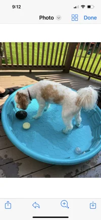 IMG_0897.png IMG_0897.png