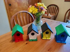 birdhouses 2024.webp