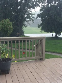 45F78E0D-FFB8-41B3-BCF0-0D5CF10130AA.jpeg 45F78E0D-FFB8-41B3-BCF0-0D5CF10130AA.jpeg