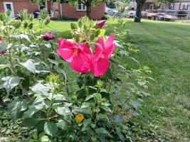 20240716_111924.jpg 20240716_111924.jpg