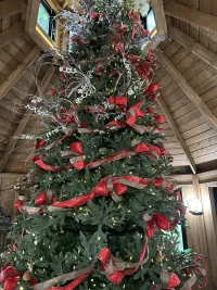 3FA034F6-1D19-4746-9B61-043347CEBE91.webp 3FA034F6-1D19-4746-9B61-043347CEBE91.webp