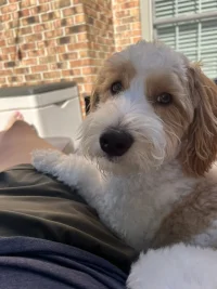 07D8751C-F700-45F5-B7CF-BFFA2E1C7B6F.jpeg 07D8751C-F700-45F5-B7CF-BFFA2E1C7B6F.jpeg