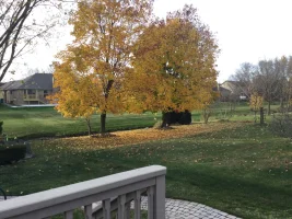 image.webp image.webp