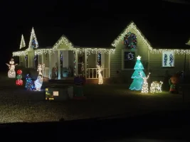 Christmas lights1.webp