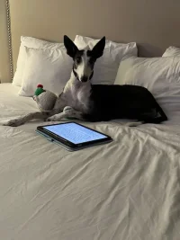 IMG_7343.jpeg IMG_7343.jpeg