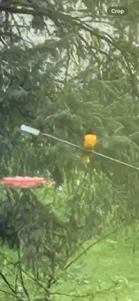 40D8DFC1-CD43-4B49-8426-ECFDD87D06CC.webp 40D8DFC1-CD43-4B49-8426-ECFDD87D06CC.webp