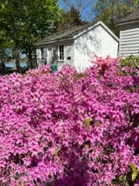 IMG_7678.webp IMG_7678.webp