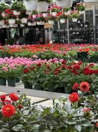 593DDE6E-3C20-4A78-AD12-F81CD678B9DC.webp 593DDE6E-3C20-4A78-AD12-F81CD678B9DC.webp