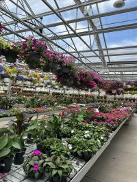 4D2A8A6D-AD80-45C8-8D23-74895C80C817.webp 4D2A8A6D-AD80-45C8-8D23-74895C80C817.webp