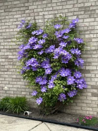 IMG_2981.webp IMG_2981.webp