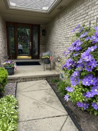 IMG_2980.webp IMG_2980.webp