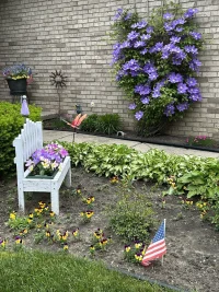 IMG_2982.webp IMG_2982.webp