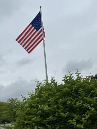 IMG_2984.webp IMG_2984.webp