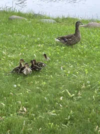 IMG_3069.webp IMG_3069.webp