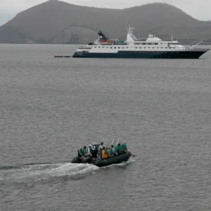 Celebrity Expedition