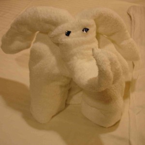 Last Towel Creature