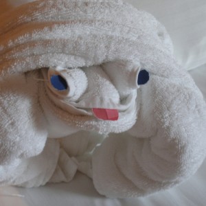 Towel Creature