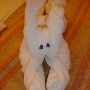 Last Towel Creature