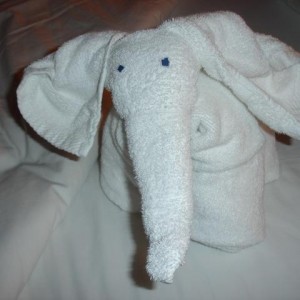 Towel Animal