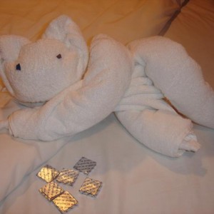 Towel Animal