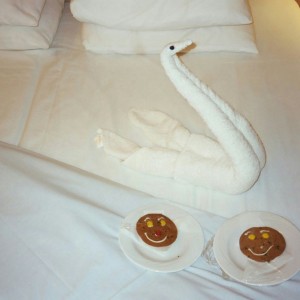 Towel Swan & Cookies for the Boys