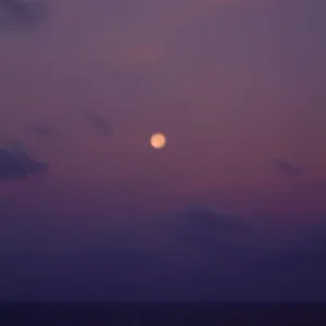 Grandeur_of_the_Seas_172