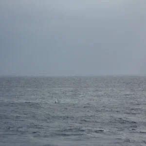 BirthdayBashCruise_85_