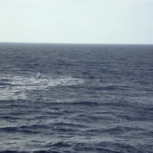 BirthdayBashCruise_88_