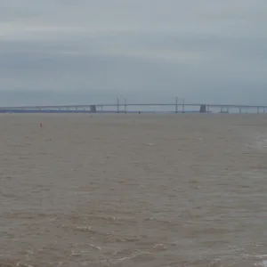 Back in Muddy Waters