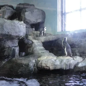 Location, location, location.