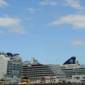 Stern's of Ruby Princess, Carnival Pride, & Norwegian Gem