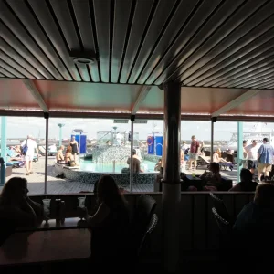 Sunny Day in Serenity