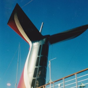 The Whale Tail