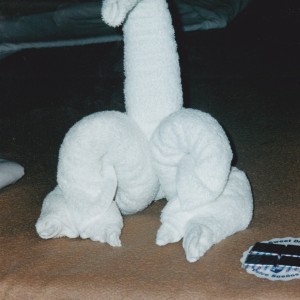 Final Towel Animal