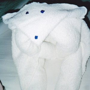 Final Towel Animal