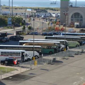 Excursion Buses ready to go