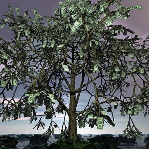 Money Tree