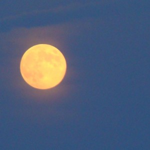 Full Moon