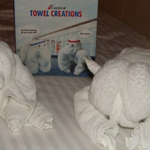 Ryan's Towel Animals