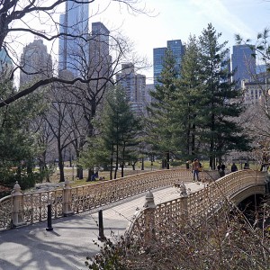 0315-CentralPark2