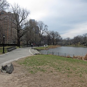 0315-CentralPark5